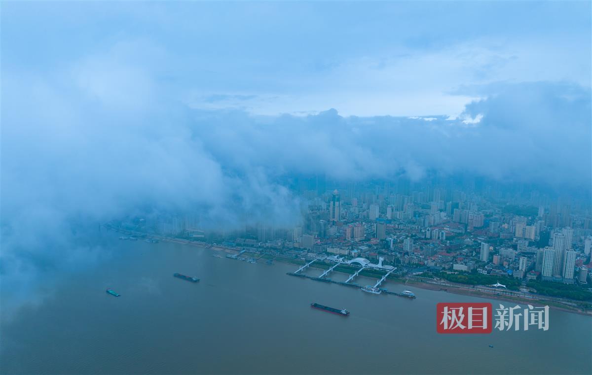 全部娱乐网址